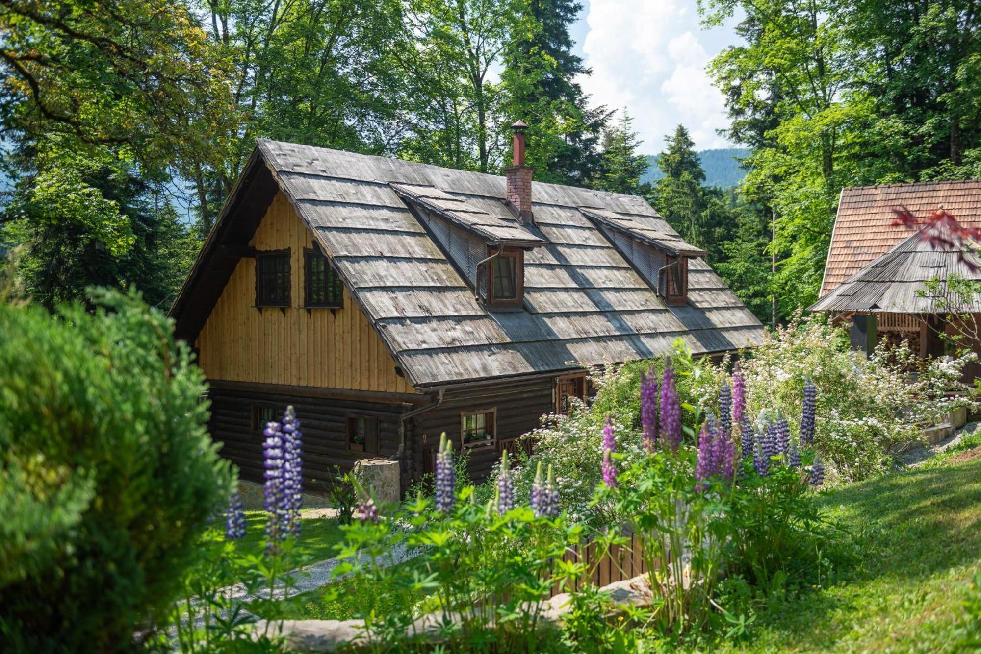 Pocitniska Hisa Koca Dobnik Villa Lovrenc na Pohorju Exterior photo