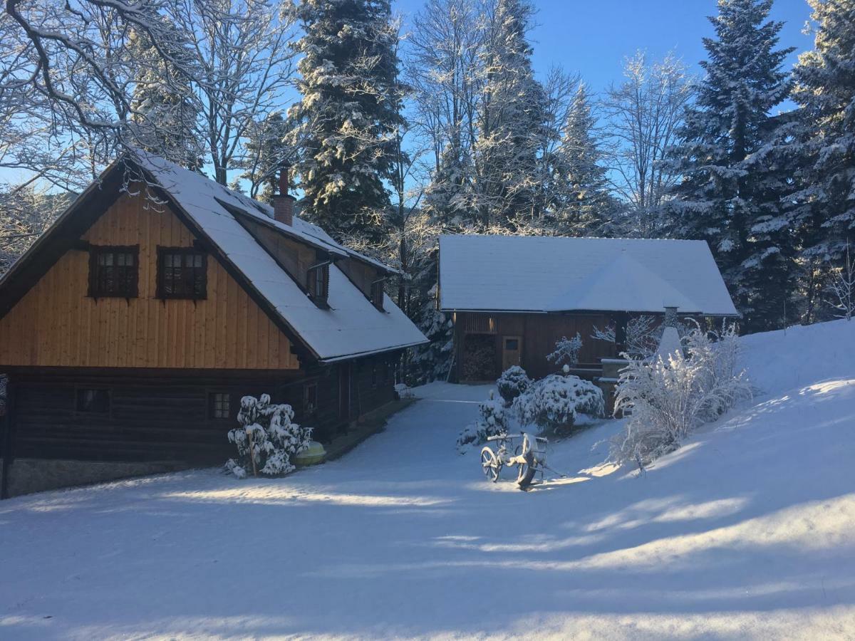 Pocitniska Hisa Koca Dobnik Villa Lovrenc na Pohorju Exterior photo