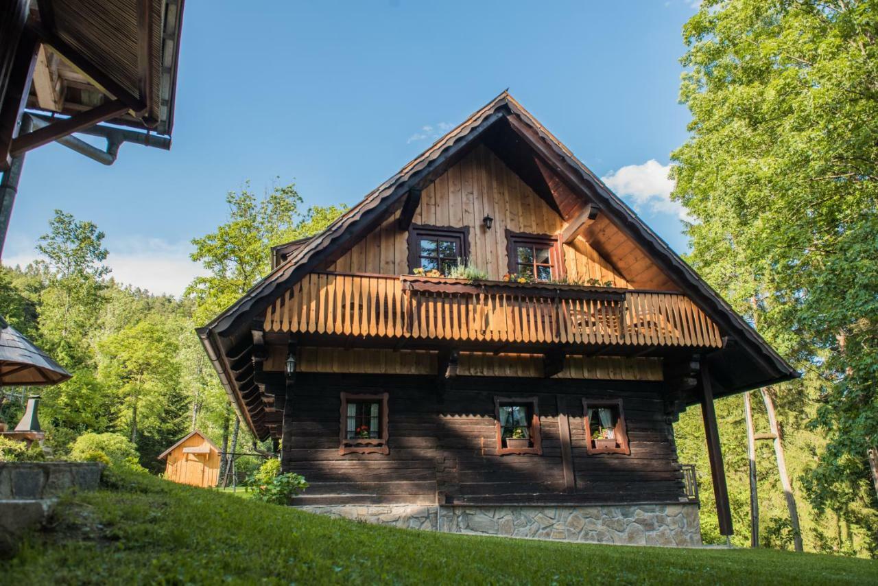 Pocitniska Hisa Koca Dobnik Villa Lovrenc na Pohorju Exterior photo